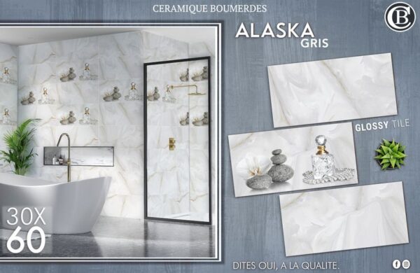 ALASKA GRIS 30x60 – Image 2