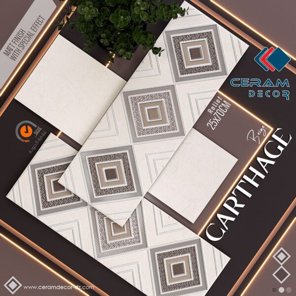 CARTHAGE BEIGE 25x70