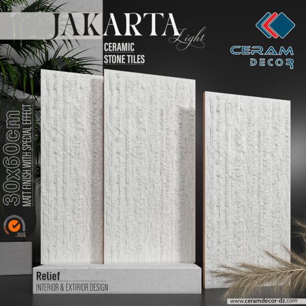 JAKARTA LIGHT 30x60