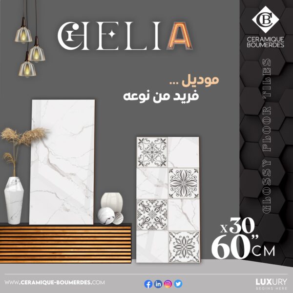 CHELIA 30x60