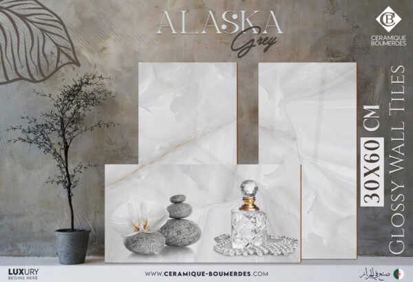 ALASKA GRIS 30x60