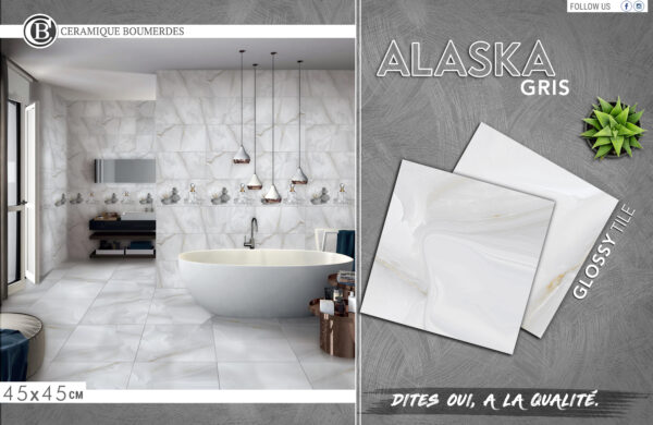 ALASKA GRIS 45x45 – Image 2